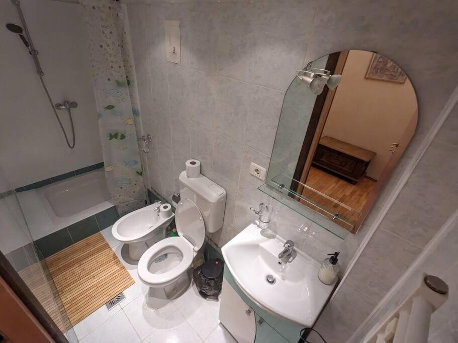 Boheme Central Apartment Timişoara Eksteriør billede